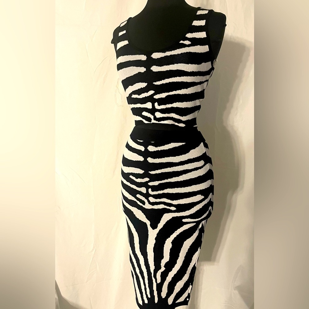NEW Zebra print two-piece